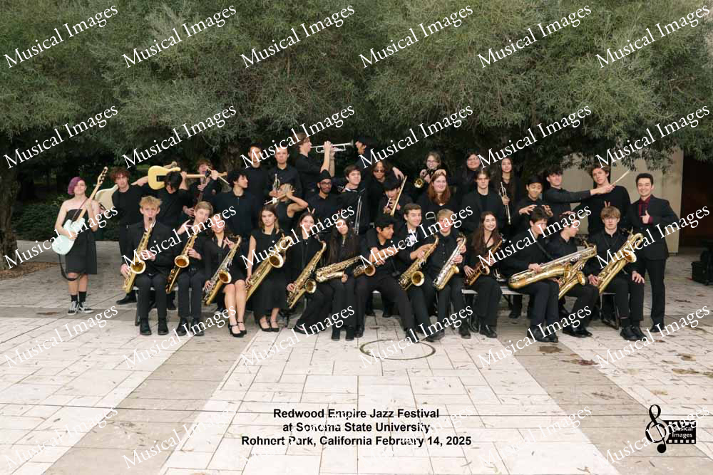 Musical Images
